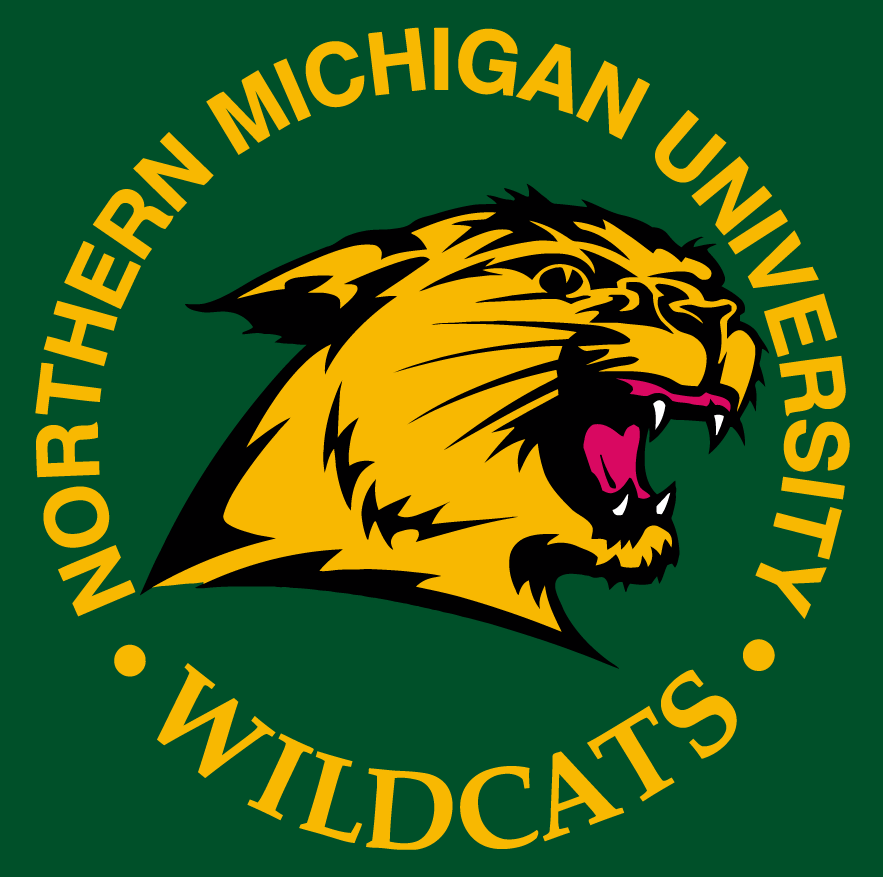 Northern Michigan Wildcats 1993-2015 Alternate Logo 01 iron on paper